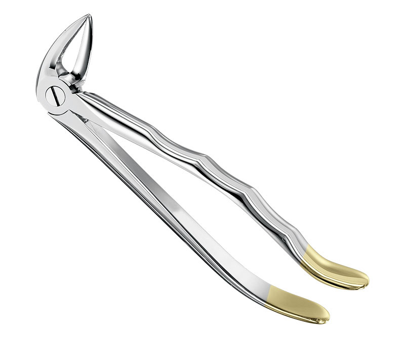 Extracting forceps, anat.