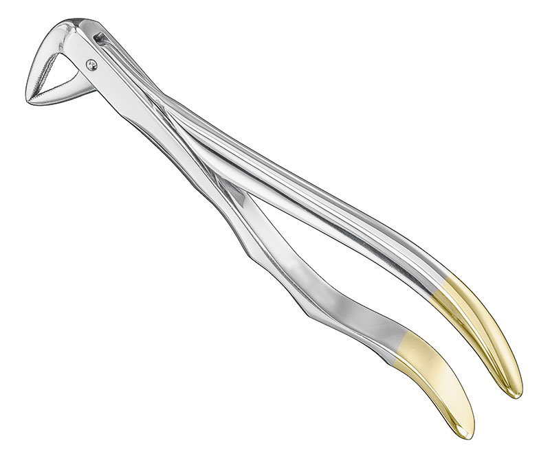 Extracting forceps, anat.