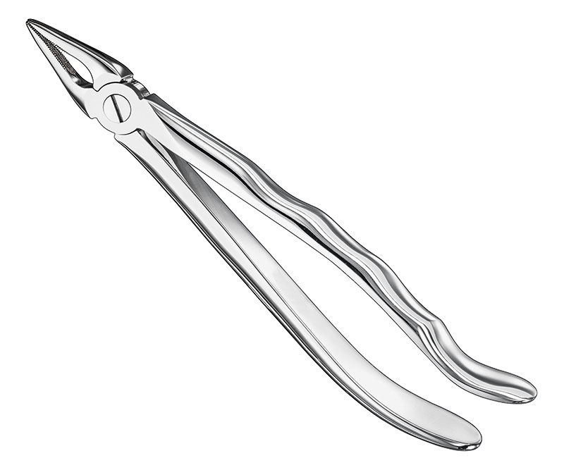 Extracting forceps, anat.