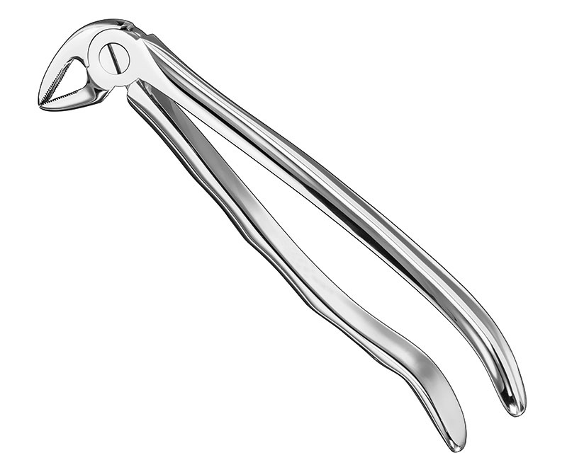 Extracting Forceps Anatomically Shaped Handle Standard