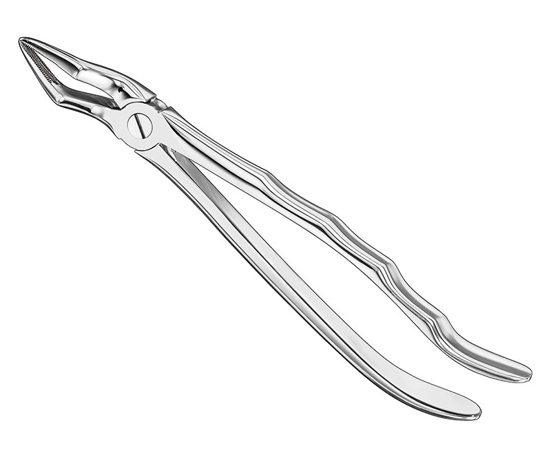 Extracting forceps, anat.