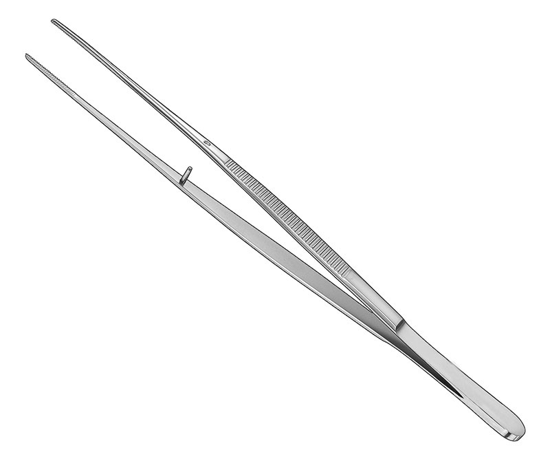 Dissecting Forceps