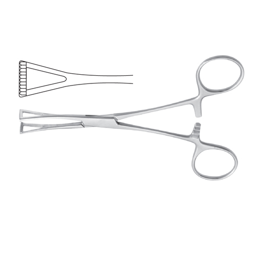 Collin Organ Grasping Forcep