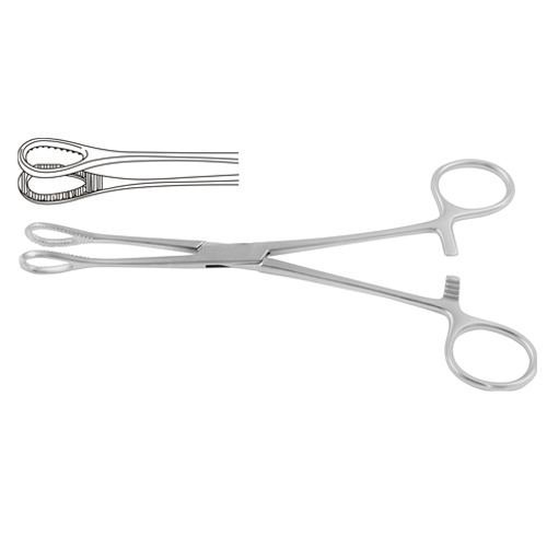 Sponge Holding and Sinus Forceps